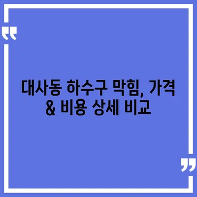 대전시 중구 대사동 하수구막힘 | 가격 | 비용 | 기름제거 | 싱크대 | 변기 | 세면대 | 역류 | 냄새차단 | 2024 후기