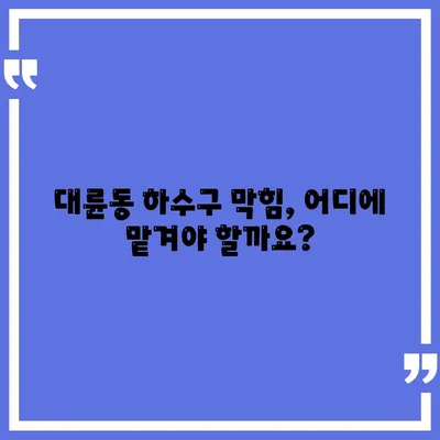 제주도 서귀포시 대륜동 하수구막힘 | 가격 | 비용 | 기름제거 | 싱크대 | 변기 | 세면대 | 역류 | 냄새차단 | 2024 후기