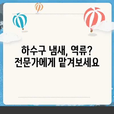 광주시 광산구 수완동 하수구막힘 | 가격 | 비용 | 기름제거 | 싱크대 | 변기 | 세면대 | 역류 | 냄새차단 | 2024 후기