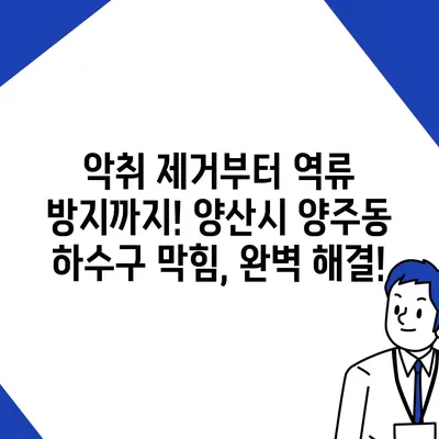 경상남도 양산시 양주동 하수구막힘 | 가격 | 비용 | 기름제거 | 싱크대 | 변기 | 세면대 | 역류 | 냄새차단 | 2024 후기