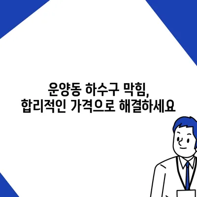 경기도 김포시 운양동 하수구막힘 | 가격 | 비용 | 기름제거 | 싱크대 | 변기 | 세면대 | 역류 | 냄새차단 | 2024 후기