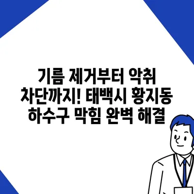 강원도 태백시 황지동 하수구막힘 | 가격 | 비용 | 기름제거 | 싱크대 | 변기 | 세면대 | 역류 | 냄새차단 | 2024 후기