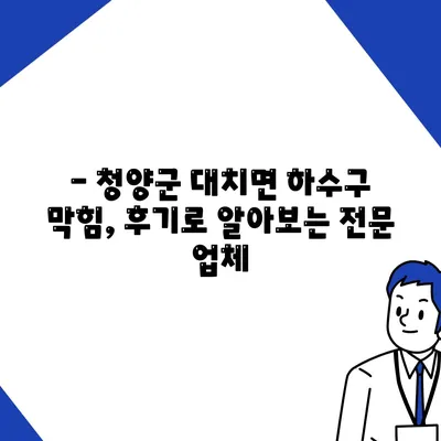 충청남도 청양군 대치면 하수구막힘 | 가격 | 비용 | 기름제거 | 싱크대 | 변기 | 세면대 | 역류 | 냄새차단 | 2024 후기