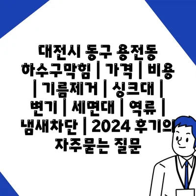 대전시 동구 용전동 하수구막힘 | 가격 | 비용 | 기름제거 | 싱크대 | 변기 | 세면대 | 역류 | 냄새차단 | 2024 후기