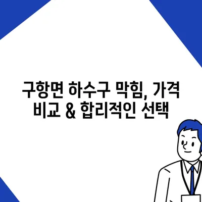 충청남도 홍성군 구항면 하수구막힘 | 가격 | 비용 | 기름제거 | 싱크대 | 변기 | 세면대 | 역류 | 냄새차단 | 2024 후기