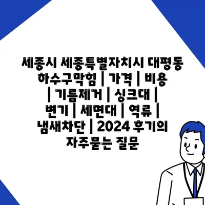 세종시 세종특별자치시 대평동 하수구막힘 | 가격 | 비용 | 기름제거 | 싱크대 | 변기 | 세면대 | 역류 | 냄새차단 | 2024 후기