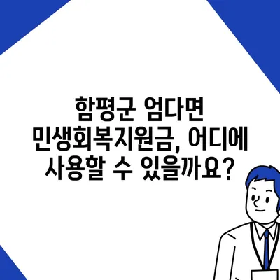 전라남도 함평군 엄다면 민생회복지원금 | 신청 | 신청방법 | 대상 | 지급일 | 사용처 | 전국민 | 이재명 | 2024