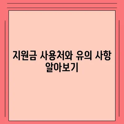 전라북도 완주군 구이면 민생회복지원금 | 신청 | 신청방법 | 대상 | 지급일 | 사용처 | 전국민 | 이재명 | 2024