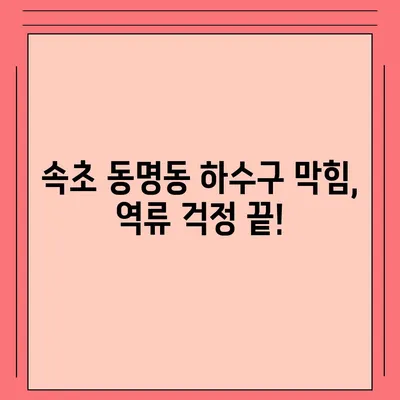 강원도 속초시 동명동 하수구막힘 | 가격 | 비용 | 기름제거 | 싱크대 | 변기 | 세면대 | 역류 | 냄새차단 | 2024 후기