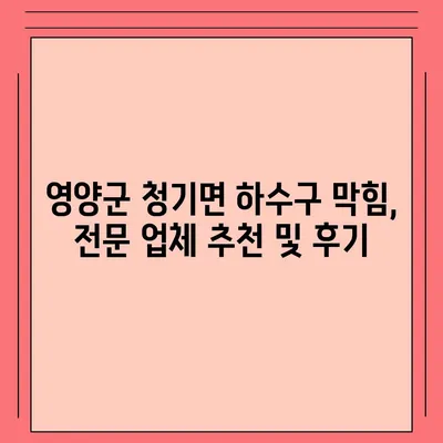 경상북도 영양군 청기면 하수구막힘 | 가격 | 비용 | 기름제거 | 싱크대 | 변기 | 세면대 | 역류 | 냄새차단 | 2024 후기