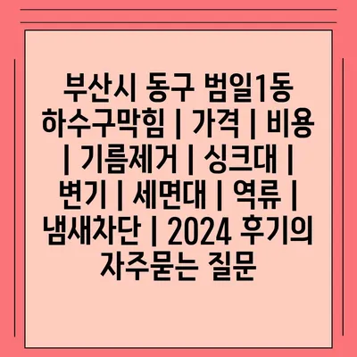 부산시 동구 범일1동 하수구막힘 | 가격 | 비용 | 기름제거 | 싱크대 | 변기 | 세면대 | 역류 | 냄새차단 | 2024 후기