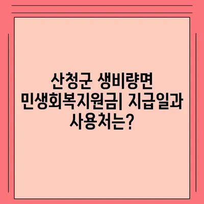 경상남도 산청군 생비량면 민생회복지원금 | 신청 | 신청방법 | 대상 | 지급일 | 사용처 | 전국민 | 이재명 | 2024