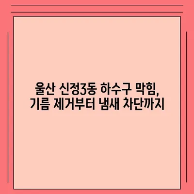 울산시 남구 신정3동 하수구막힘 | 가격 | 비용 | 기름제거 | 싱크대 | 변기 | 세면대 | 역류 | 냄새차단 | 2024 후기