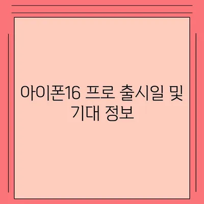 아이폰16 프로 디자인, 출시일, 실물 리뷰