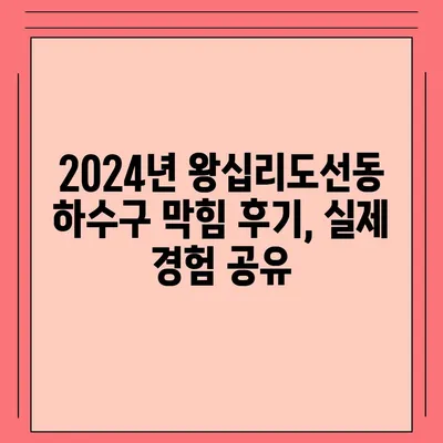 서울시 성동구 왕십리도선동 하수구막힘 | 가격 | 비용 | 기름제거 | 싱크대 | 변기 | 세면대 | 역류 | 냄새차단 | 2024 후기