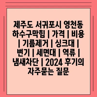 제주도 서귀포시 영천동 하수구막힘 | 가격 | 비용 | 기름제거 | 싱크대 | 변기 | 세면대 | 역류 | 냄새차단 | 2024 후기