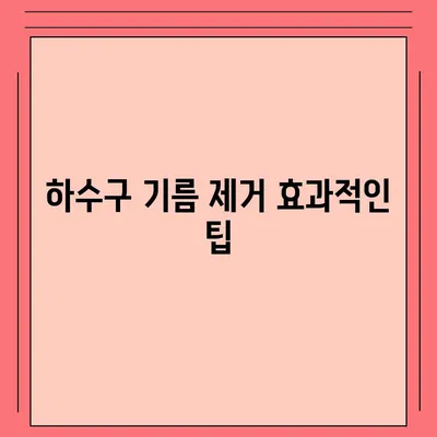 경상북도 경산시 중방동 하수구막힘 | 가격 | 비용 | 기름제거 | 싱크대 | 변기 | 세면대 | 역류 | 냄새차단 | 2024 후기