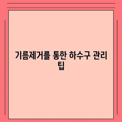 경상북도 청도군 청도읍 하수구막힘 | 가격 | 비용 | 기름제거 | 싱크대 | 변기 | 세면대 | 역류 | 냄새차단 | 2024 후기