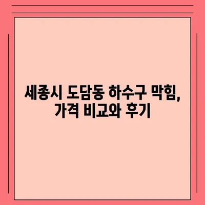 세종시 세종특별자치시 도담동 하수구막힘 | 가격 | 비용 | 기름제거 | 싱크대 | 변기 | 세면대 | 역류 | 냄새차단 | 2024 후기