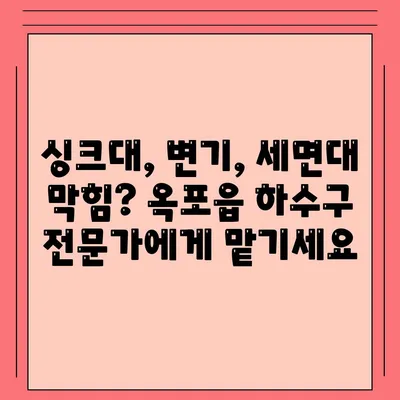 대구시 달성군 옥포읍 하수구막힘 | 가격 | 비용 | 기름제거 | 싱크대 | 변기 | 세면대 | 역류 | 냄새차단 | 2024 후기