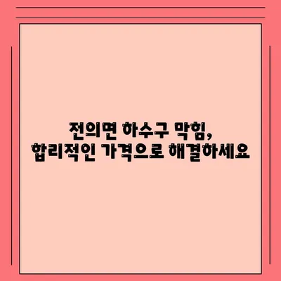 세종시 세종특별자치시 전의면 하수구막힘 | 가격 | 비용 | 기름제거 | 싱크대 | 변기 | 세면대 | 역류 | 냄새차단 | 2024 후기