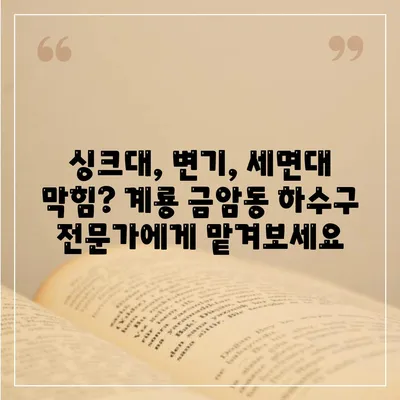 충청남도 계룡시 금암동 하수구막힘 | 가격 | 비용 | 기름제거 | 싱크대 | 변기 | 세면대 | 역류 | 냄새차단 | 2024 후기