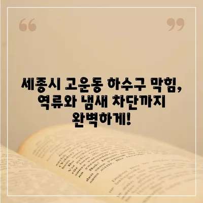 세종시 세종특별자치시 고운동 하수구막힘 | 가격 | 비용 | 기름제거 | 싱크대 | 변기 | 세면대 | 역류 | 냄새차단 | 2024 후기