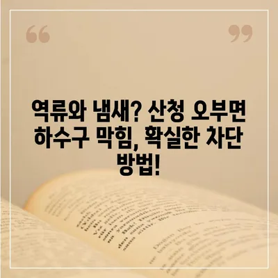 경상남도 산청군 오부면 하수구막힘 | 가격 | 비용 | 기름제거 | 싱크대 | 변기 | 세면대 | 역류 | 냄새차단 | 2024 후기