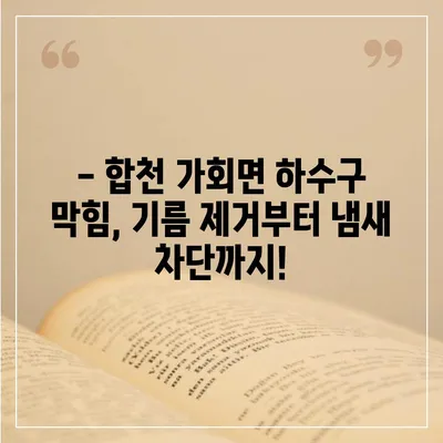 경상남도 합천군 가회면 하수구막힘 | 가격 | 비용 | 기름제거 | 싱크대 | 변기 | 세면대 | 역류 | 냄새차단 | 2024 후기