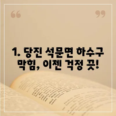 충청남도 당진시 석문면 하수구막힘 | 가격 | 비용 | 기름제거 | 싱크대 | 변기 | 세면대 | 역류 | 냄새차단 | 2024 후기