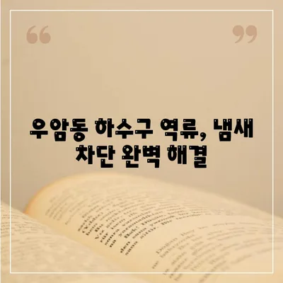 충청북도 청주시 청원구 우암동 하수구막힘 | 가격 | 비용 | 기름제거 | 싱크대 | 변기 | 세면대 | 역류 | 냄새차단 | 2024 후기