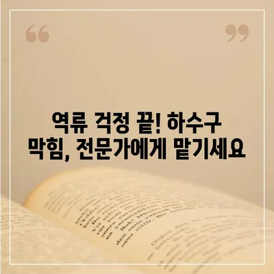 광주시 동구 학동 하수구막힘 | 가격 | 비용 | 기름제거 | 싱크대 | 변기 | 세면대 | 역류 | 냄새차단 | 2024 후기