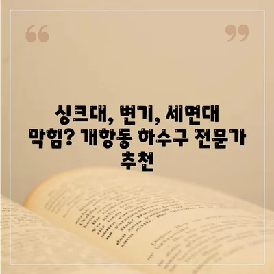 인천시 중구 개항동 하수구막힘 | 가격 | 비용 | 기름제거 | 싱크대 | 변기 | 세면대 | 역류 | 냄새차단 | 2024 후기