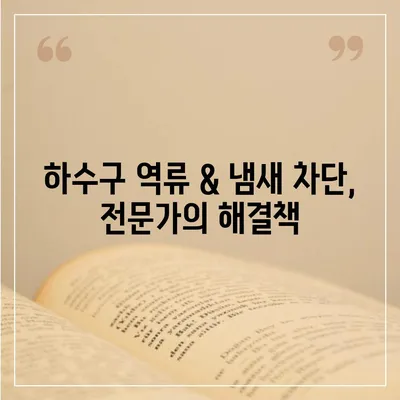 대전시 중구 대사동 하수구막힘 | 가격 | 비용 | 기름제거 | 싱크대 | 변기 | 세면대 | 역류 | 냄새차단 | 2024 후기