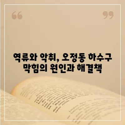 대전시 대덕구 오정동 하수구막힘 | 가격 | 비용 | 기름제거 | 싱크대 | 변기 | 세면대 | 역류 | 냄새차단 | 2024 후기