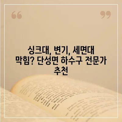 충청북도 단양군 단성면 하수구막힘 | 가격 | 비용 | 기름제거 | 싱크대 | 변기 | 세면대 | 역류 | 냄새차단 | 2024 후기