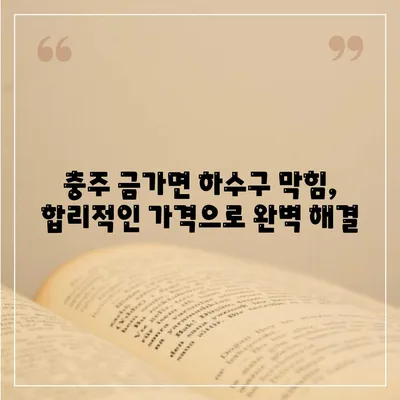 충청북도 충주시 금가면 하수구막힘 | 가격 | 비용 | 기름제거 | 싱크대 | 변기 | 세면대 | 역류 | 냄새차단 | 2024 후기