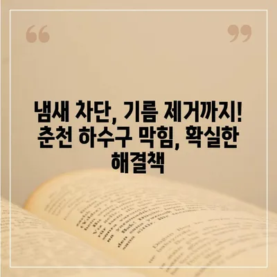 강원도 춘천시 소양로2동 하수구막힘 | 가격 | 비용 | 기름제거 | 싱크대 | 변기 | 세면대 | 역류 | 냄새차단 | 2024 후기