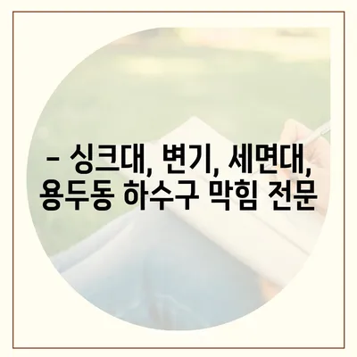 대전시 중구 용두동 하수구막힘 | 가격 | 비용 | 기름제거 | 싱크대 | 변기 | 세면대 | 역류 | 냄새차단 | 2024 후기