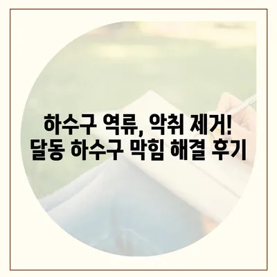 울산시 남구 달동 하수구막힘 | 가격 | 비용 | 기름제거 | 싱크대 | 변기 | 세면대 | 역류 | 냄새차단 | 2024 후기