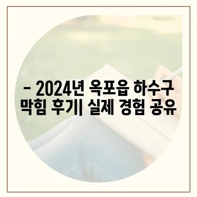 대구시 달성군 옥포읍 하수구막힘 | 가격 | 비용 | 기름제거 | 싱크대 | 변기 | 세면대 | 역류 | 냄새차단 | 2024 후기