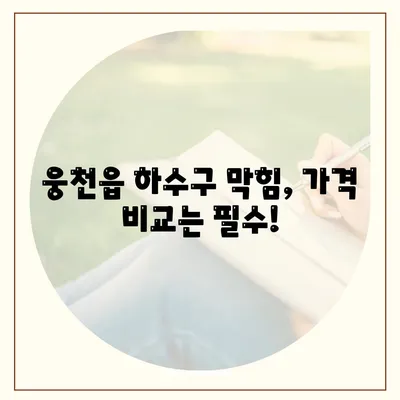 충청남도 보령시 웅천읍 하수구막힘 | 가격 | 비용 | 기름제거 | 싱크대 | 변기 | 세면대 | 역류 | 냄새차단 | 2024 후기