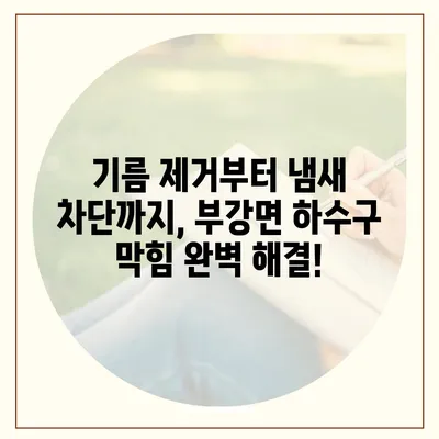 세종시 세종특별자치시 부강면 하수구막힘 | 가격 | 비용 | 기름제거 | 싱크대 | 변기 | 세면대 | 역류 | 냄새차단 | 2024 후기