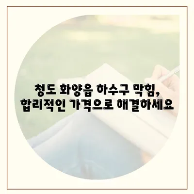 경상북도 청도군 화양읍 하수구막힘 | 가격 | 비용 | 기름제거 | 싱크대 | 변기 | 세면대 | 역류 | 냄새차단 | 2024 후기