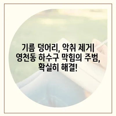 제주도 서귀포시 영천동 하수구막힘 | 가격 | 비용 | 기름제거 | 싱크대 | 변기 | 세면대 | 역류 | 냄새차단 | 2024 후기