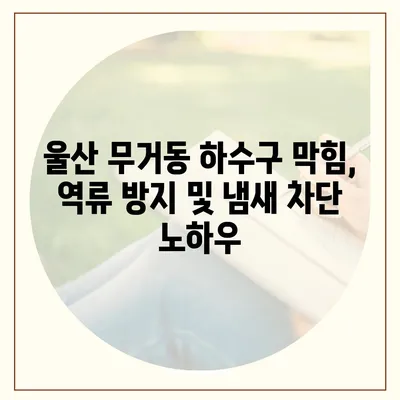 울산시 남구 무거동 하수구막힘 | 가격 | 비용 | 기름제거 | 싱크대 | 변기 | 세면대 | 역류 | 냄새차단 | 2024 후기