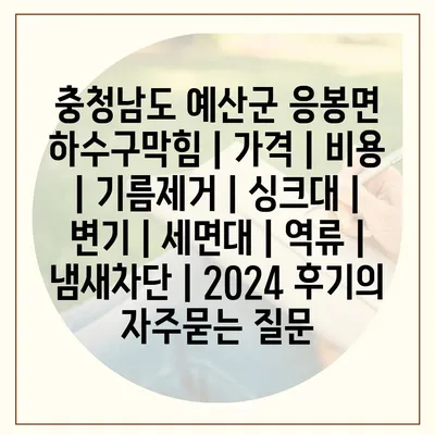 충청남도 예산군 응봉면 하수구막힘 | 가격 | 비용 | 기름제거 | 싱크대 | 변기 | 세면대 | 역류 | 냄새차단 | 2024 후기