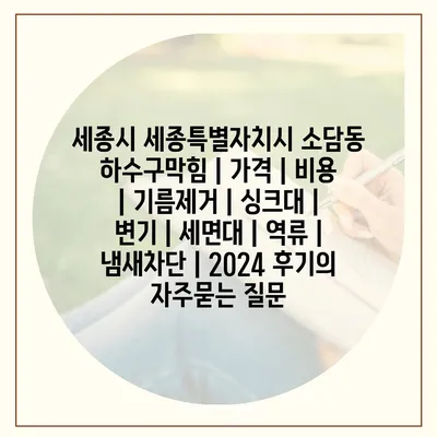 세종시 세종특별자치시 소담동 하수구막힘 | 가격 | 비용 | 기름제거 | 싱크대 | 변기 | 세면대 | 역류 | 냄새차단 | 2024 후기