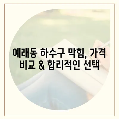 제주도 서귀포시 예래동 하수구막힘 | 가격 | 비용 | 기름제거 | 싱크대 | 변기 | 세면대 | 역류 | 냄새차단 | 2024 후기