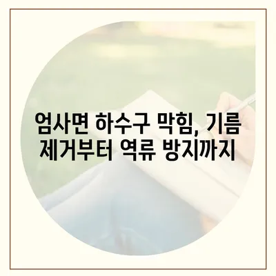 충청남도 계룡시 엄사면 하수구막힘 | 가격 | 비용 | 기름제거 | 싱크대 | 변기 | 세면대 | 역류 | 냄새차단 | 2024 후기